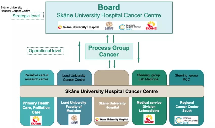 Organisation chart od Skåne University Hospital Cancer Centre
