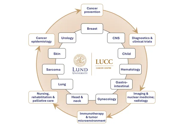 LUCC scheme