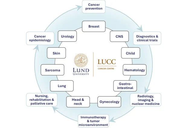 LUCC scheme 2025 blue