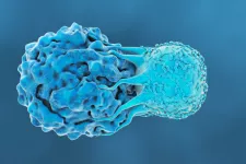 Illustration av T-cellsattack på cancercell. Illustration: iStock/luismmoling 