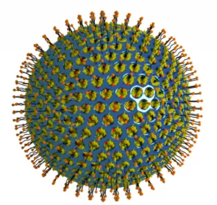 Illustration of nanoparticle